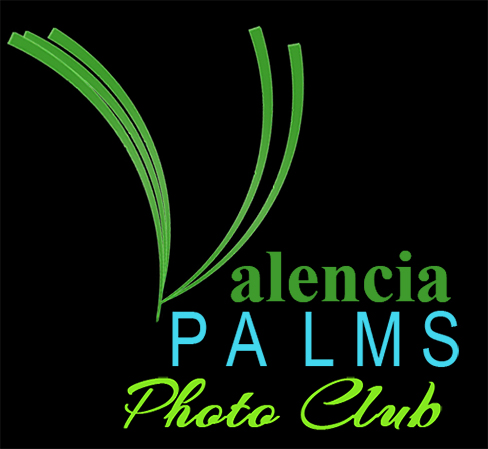 Valencia Palms Photo Club