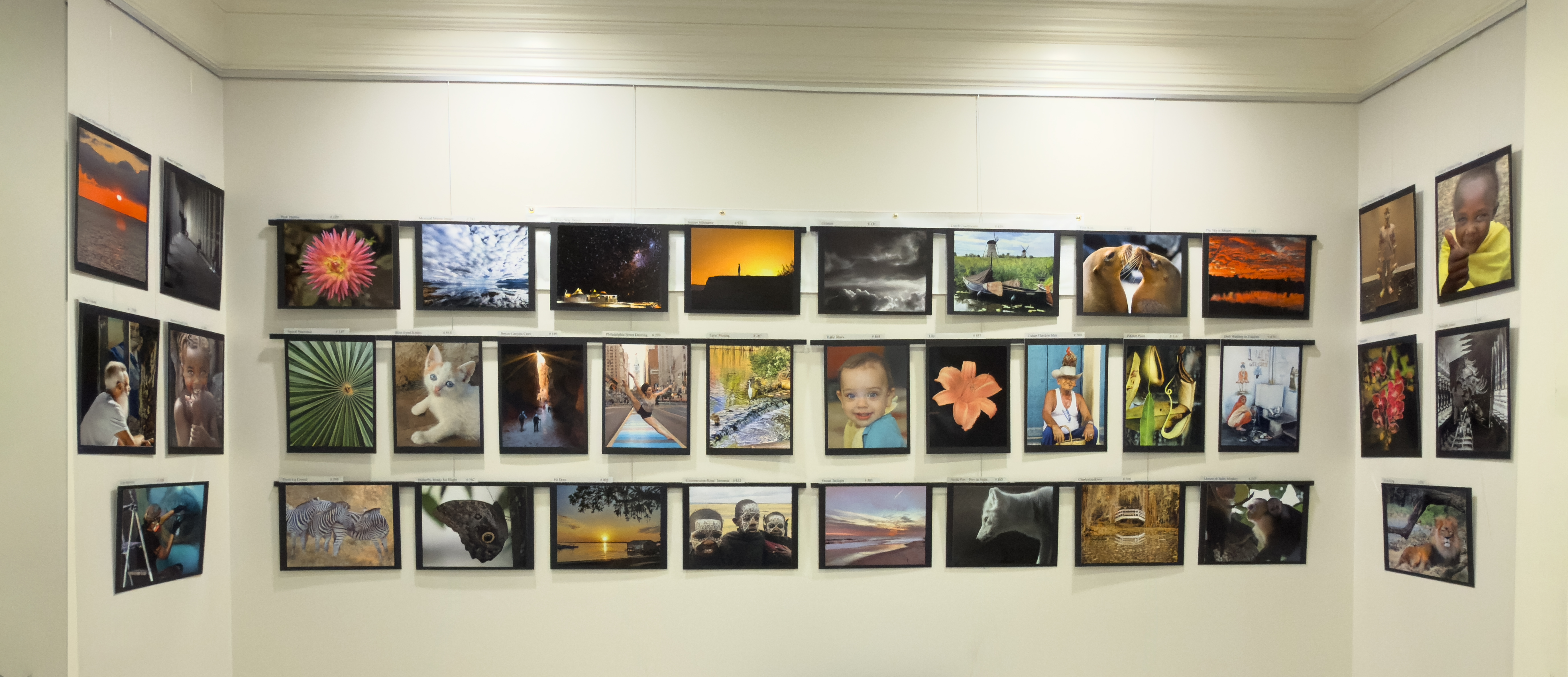 Portrait Exhibit October 2025